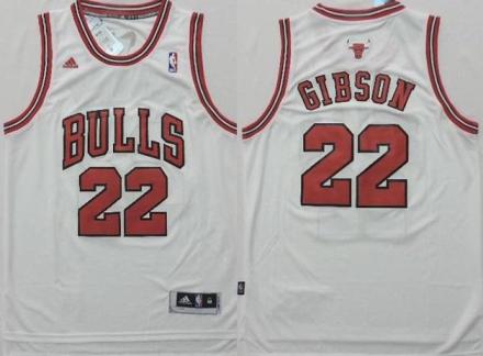 Chicago Bulls #22 Taj Gibson White Revolution 30 Stitched NBA Jersey