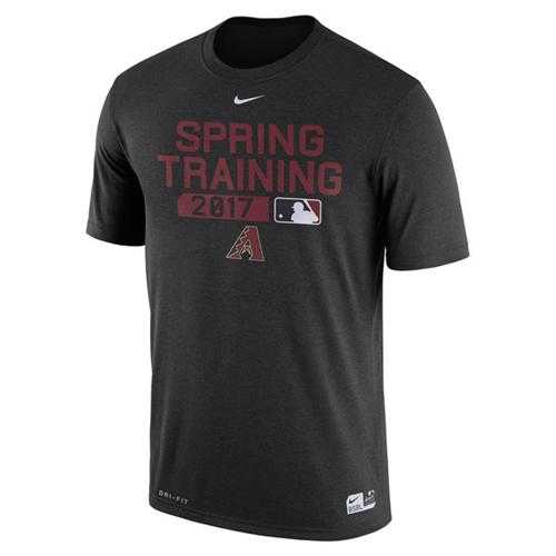 Men's Arizona Diamondbacks Nike Black Authentic Collection Legend Team Issue Performance T-Shirt