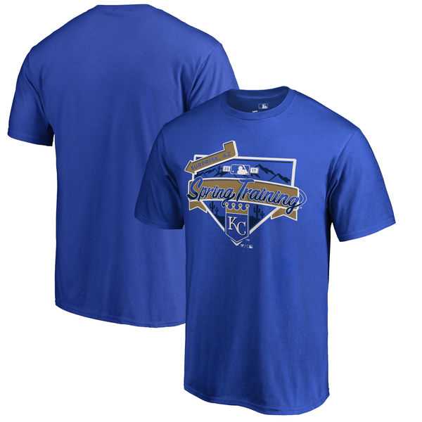 Men's Kansas City Royals Nike Royal 2016 Authentic Collection Legend Team Issue Spring Training Performance T-Shirt