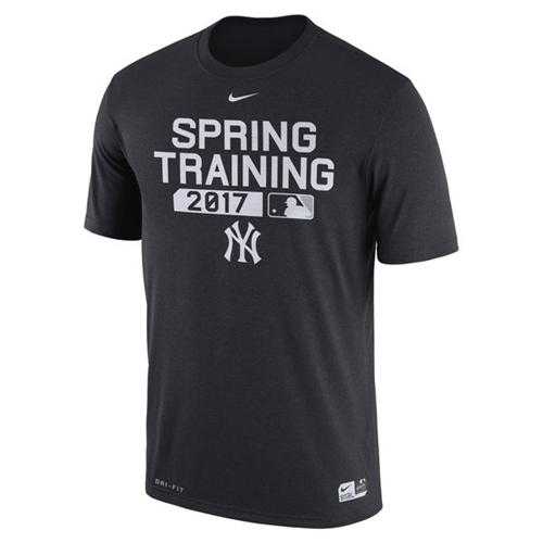 Men's New York Yankees Nike Navy Authentic Collection Legend Team Issue Performance T-Shirt