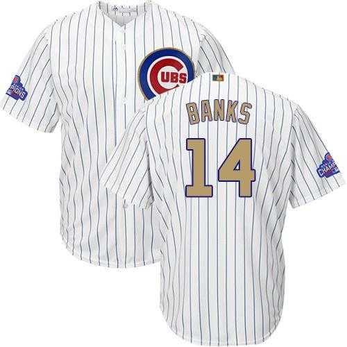 Youth Chicago Cubs #14 Ernie Banks White(Blue Strip) 2017 Gold Program Cool Base Stitched MLB Jersey