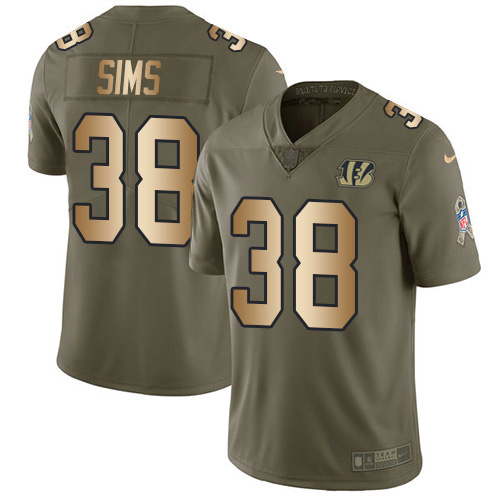 Nike Bengals #38 LeShaun Sims Olive/Gold Youth Stitched NFL Limited 2017 Salute To Service Jersey