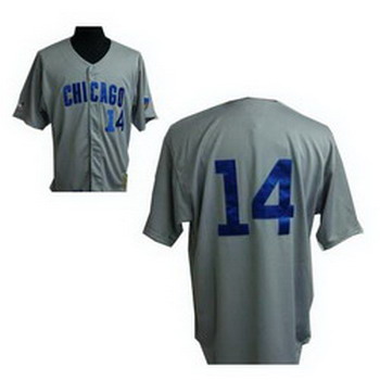 Cheap Chicago Cubs Ernie Banks 14 Cubs Grey Jersey For Sale