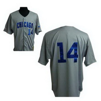 Chicago Cubs Ernie Banks 14 Cubs Grey Jersey