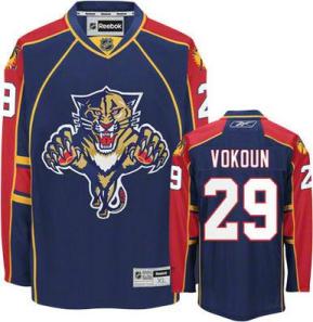 Cheap Florida Panthers 29 Vokoun Blue NHL Jersey For Sale