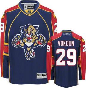 Florida Panthers 29 Vokoun Blue NHL Jersey