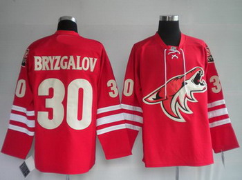 Phoenix Coyotes 30 BRYZGALOV Red Jerseys
