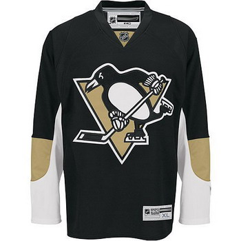 Cheap Pittsburgh Penguins 66 MARIO LEMIEUX Home Jersey For Sale