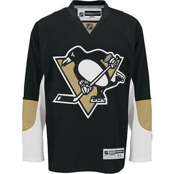 Pittsburgh Penguins 66 MARIO LEMIEUX Home Jersey