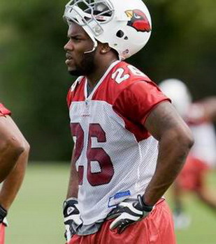 Arizona Cardinals 26 Chris Wells white jersys