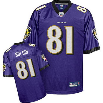 Baltimore Ravens Anquan Boldin Team Color Jersey