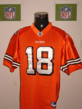 Cleveland Browns 18 Donte Stallworth orange