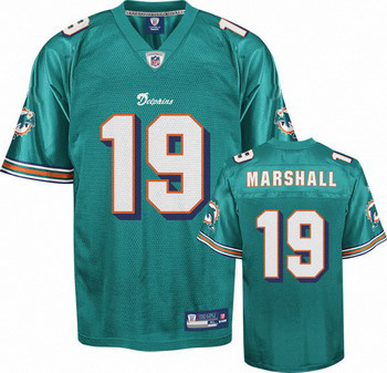 Brandon Marshall 19 Aqua Jersey Miami Dolphins