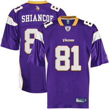 Cheap Minnesota Vikings 81 Visanthe Shiancoe Purple Football Jersey For Sale