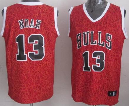 Chicago Bulls 13 Joakim Noah Red Leopard Grain NBA Jersey