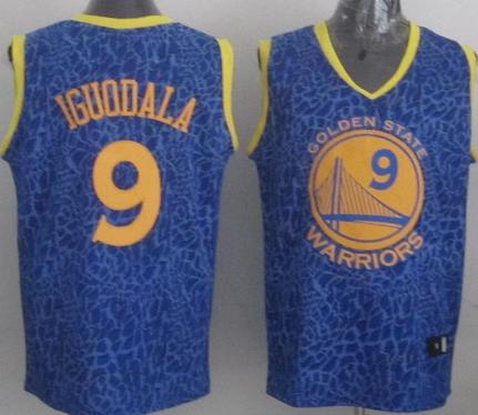 Golden State Warriors 9 Andre Iguodala Blue Leopard Grain NBA Jersey