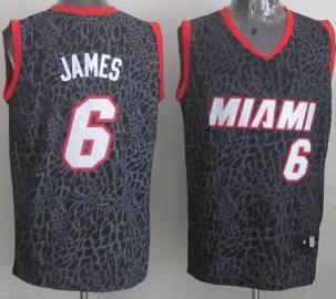Miami Heat 6 LeBron James Black Leopard Grain NBA Jersey Miami Heat 6 LeBron James Black Leopard Grain NBA Jersey