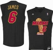 Miami Heat 6 LeBron James 2013 Champions Black Revolution 30 Swingman NBA Jerseys Cheap