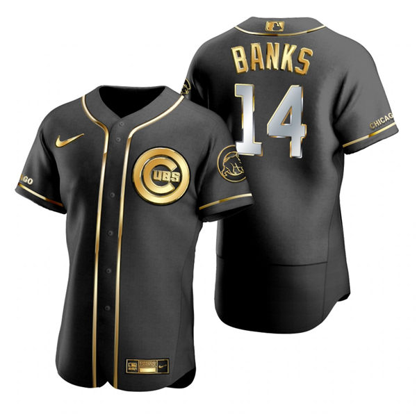 Mens Chicago Cubs #14 Ernie Banks Nike Black Golden Edition Authentic Jersey